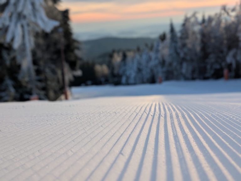Pololetní prázdniny za dveřmi!