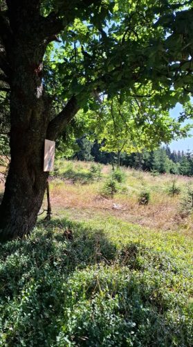 FB_IMG_1756880102331