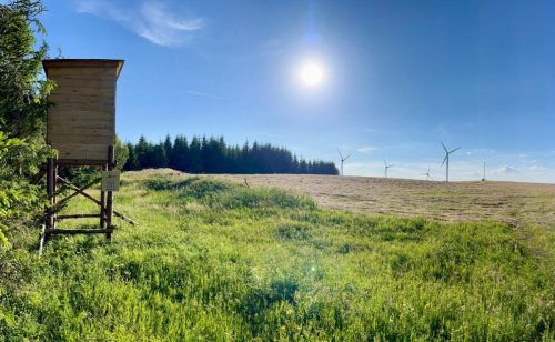 PHOTO-2025-07-04-18-58-44