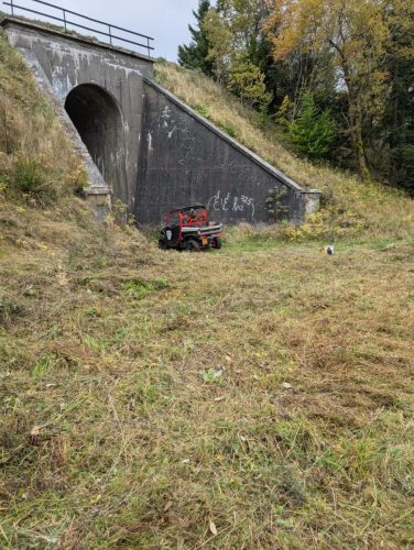 WhatsApp Image 2025-10-12 at 11.40.59