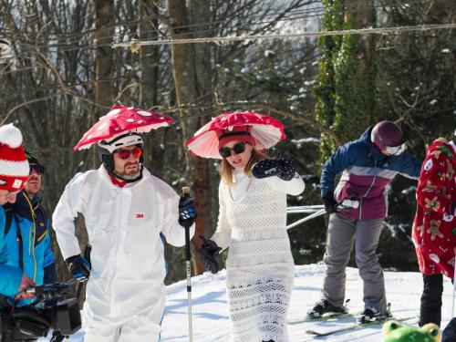 alšovka karneval 22-2-2025-016