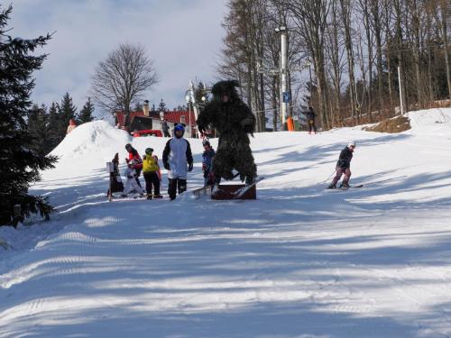 alšovka karneval 22-2-2025-194