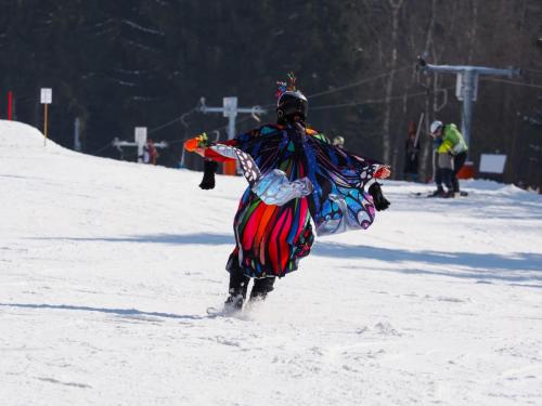 alšovka karneval 22-2-2025-201