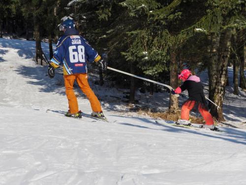 alšovka karneval 22-2-2025-232