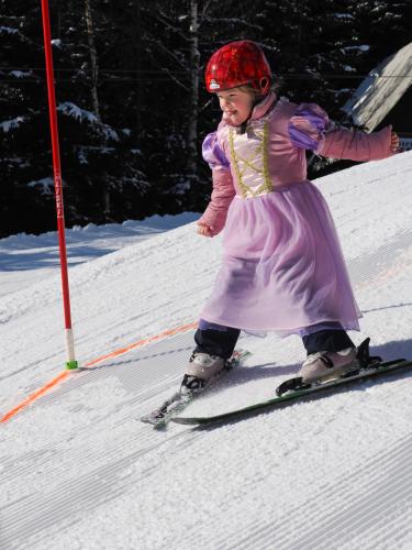 alšovka karneval 22-2-2025-249