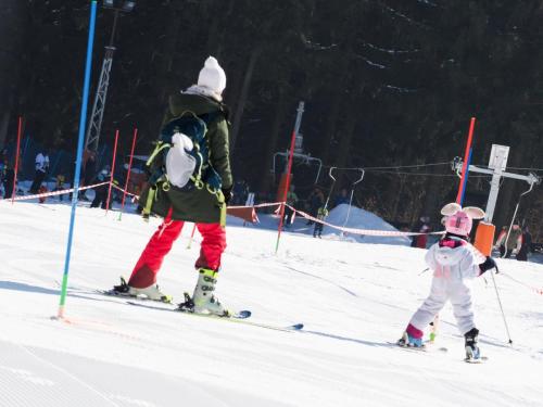 alšovka karneval 22-2-2025-253