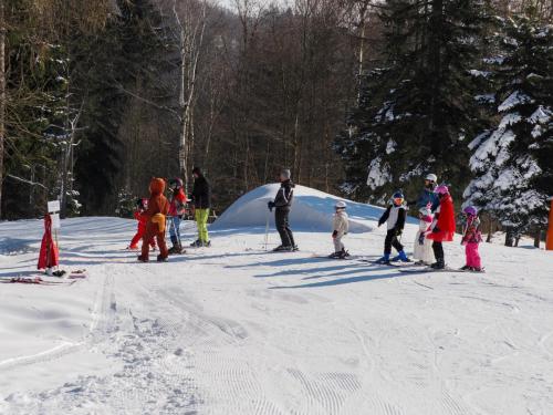 alšovka karneval 22-2-2025-298