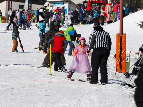 alšovka karneval 22-2-2025-299