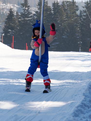 alšovka karneval 22-2-2025-310