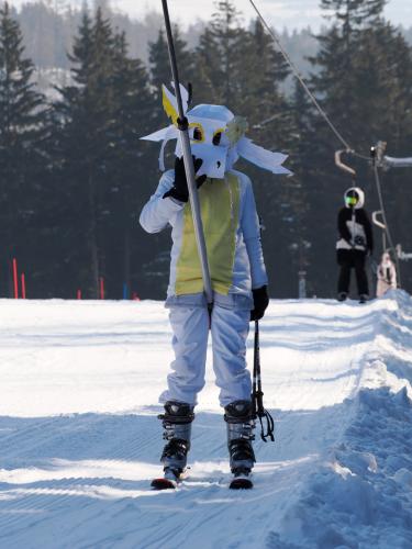 alšovka karneval 22-2-2025-325