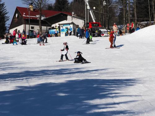 alšovka karneval 22-2-2025-341