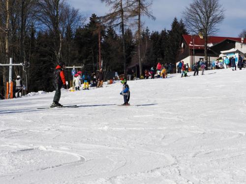 alšovka karneval 22-2-2025-347