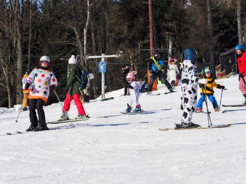 alšovka karneval 22-2-2025-358