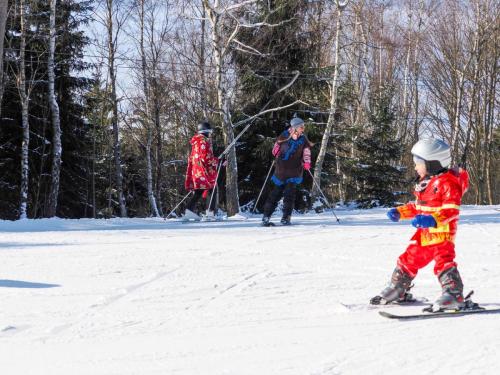 alšovka karneval 22-2-2025-360