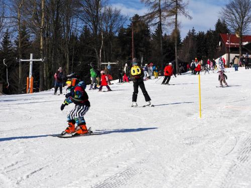 alšovka karneval 22-2-2025-363