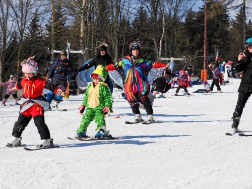 alšovka karneval 22-2-2025-373