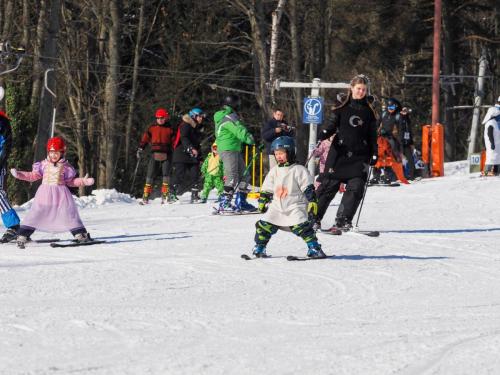 alšovka karneval 22-2-2025-379