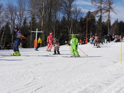 alšovka karneval 22-2-2025-383