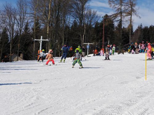 alšovka karneval 22-2-2025-384