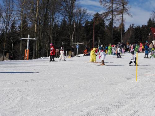 alšovka karneval 22-2-2025-387