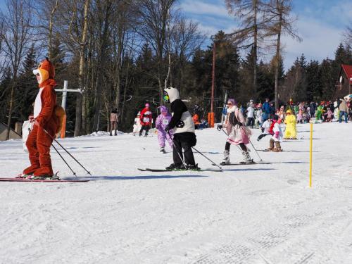 alšovka karneval 22-2-2025-388