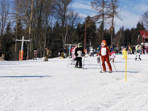 alšovka karneval 22-2-2025-389