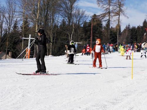 alšovka karneval 22-2-2025-397