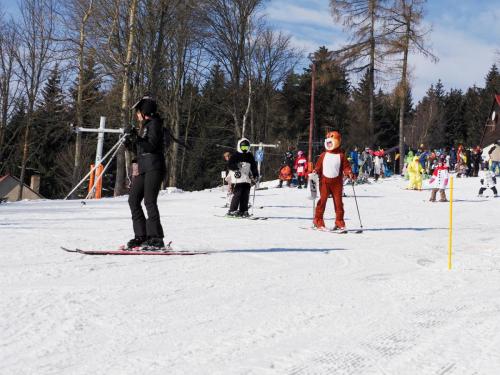 alšovka karneval 22-2-2025-398