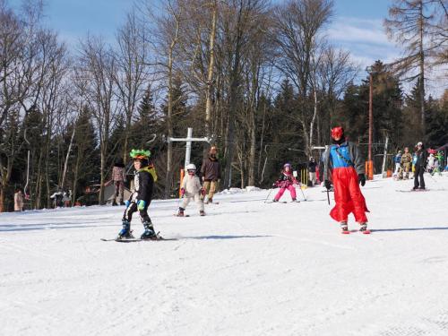 alšovka karneval 22-2-2025-403