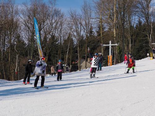 alšovka karneval 22-2-2025-406