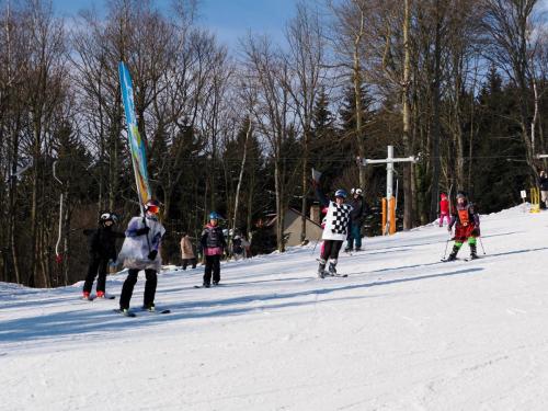 alšovka karneval 22-2-2025-407