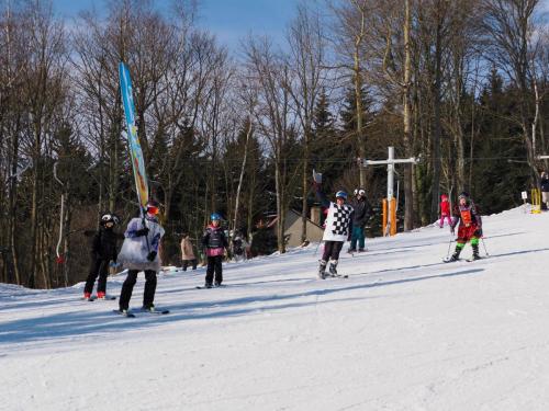 alšovka karneval 22-2-2025-408