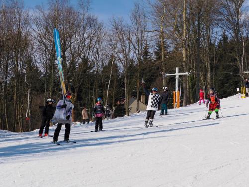 alšovka karneval 22-2-2025-410