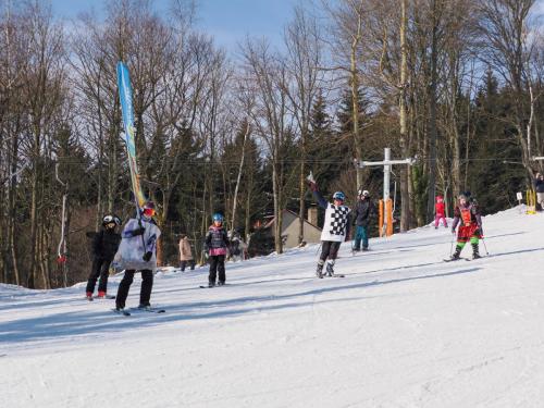 alšovka karneval 22-2-2025-411