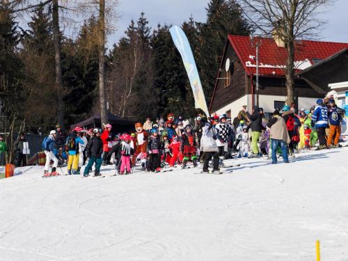 alšovka karneval 22-2-2025-413