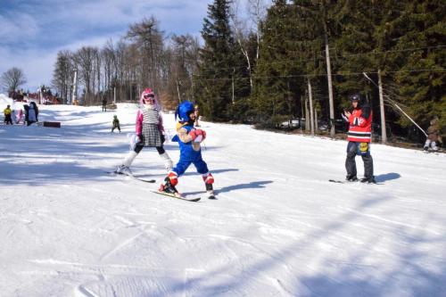 alšovka karneval 22-2-2025-422