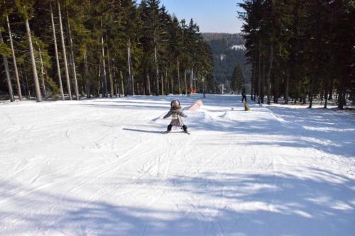 alšovka karneval 22-2-2025-423