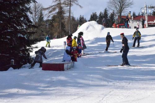 alšovka karneval 22-2-2025-425