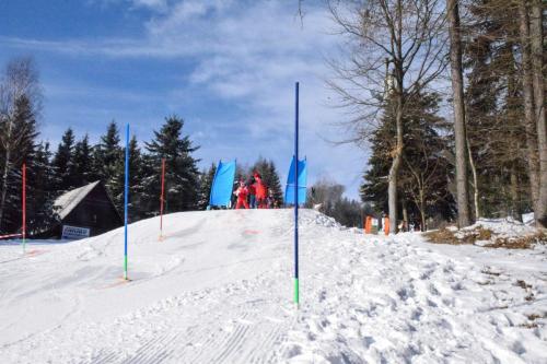 alšovka karneval 22-2-2025-430