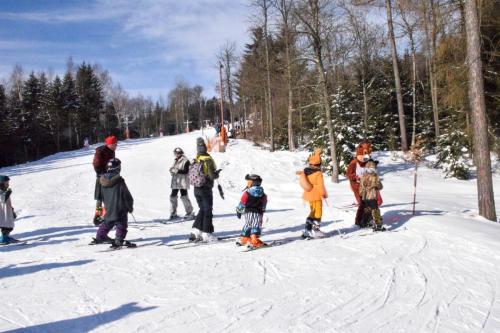 alšovka karneval 22-2-2025-433