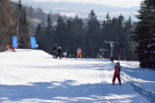 alšovka karneval 22-2-2025-440