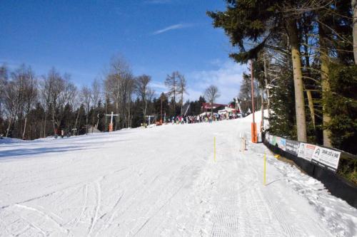 alšovka karneval 22-2-2025-445